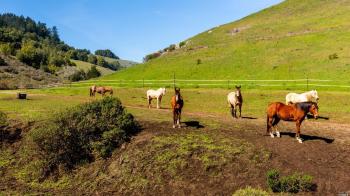 3311-nicasio-valley-road-29.jpg #67