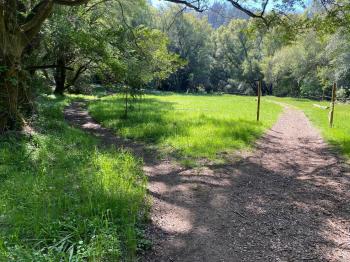 3311-nicasio-valley-road-33.jpg #71
