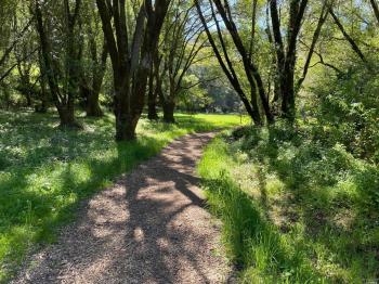 3311-nicasio-valley-road-35.jpg #73