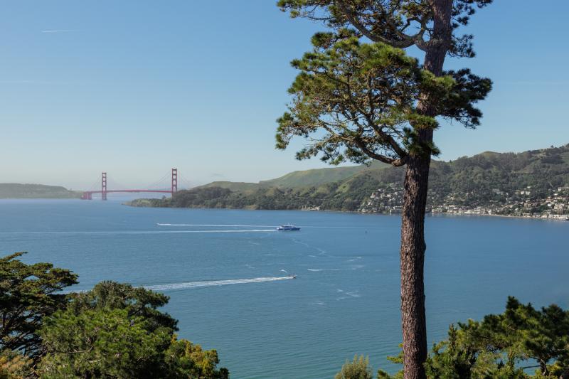 429-golden-gate-ave-tiburon-25.jpg #3